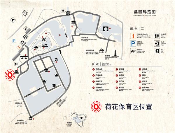 荷花基地位置.jpg